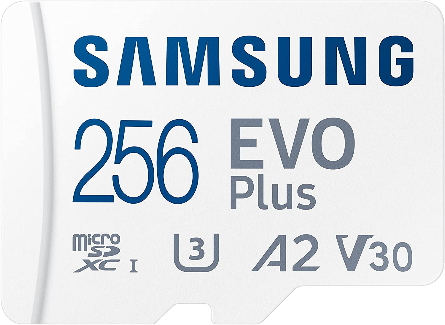 Scheda SD Samsung Evo Plus ✯ 256 GB 
